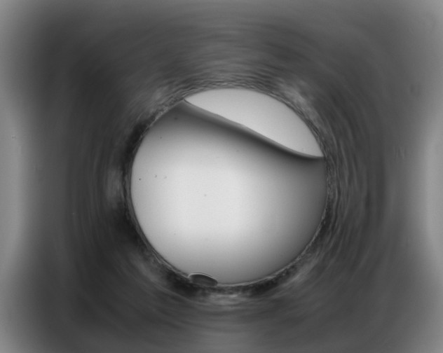 X0000087320213200704200746