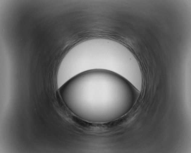 X0000087320215200704200746