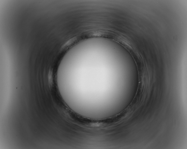 X0000087320216200704200746