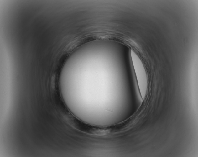 X0000087320217200704200746