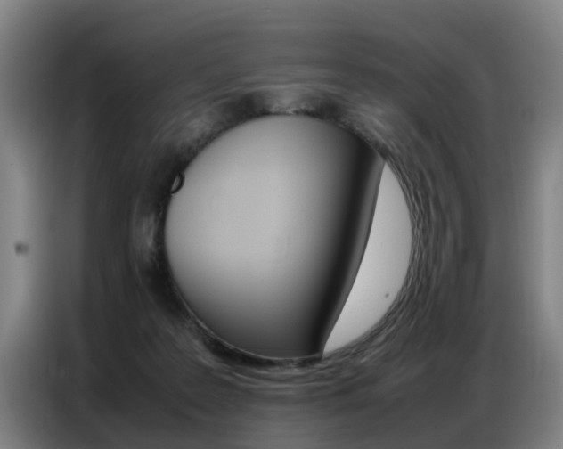 X0000087320219200704200746