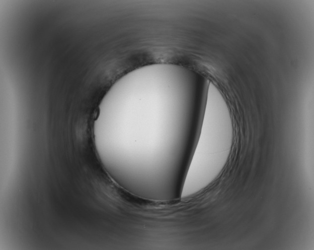 X0000087320221200704200746