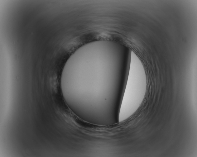 X0000087320223200704200746
