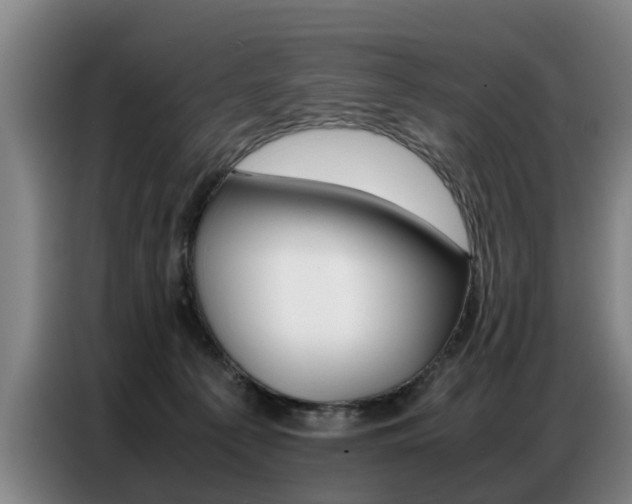 X0000087320225200704200746