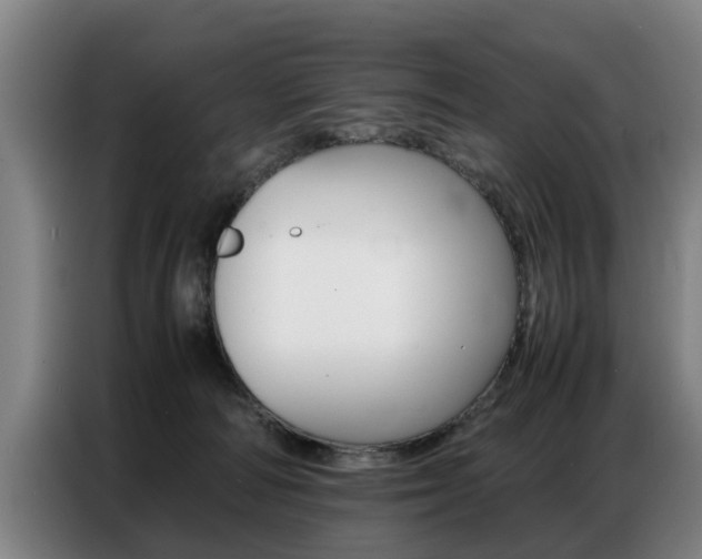 X0000087320226200704200746