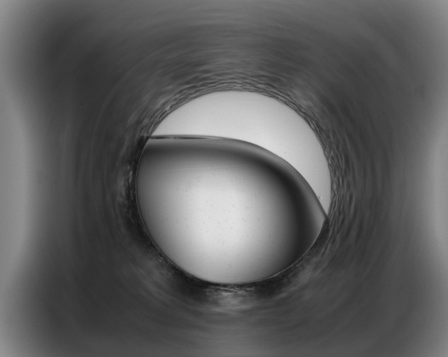 X0000087320229200704200746