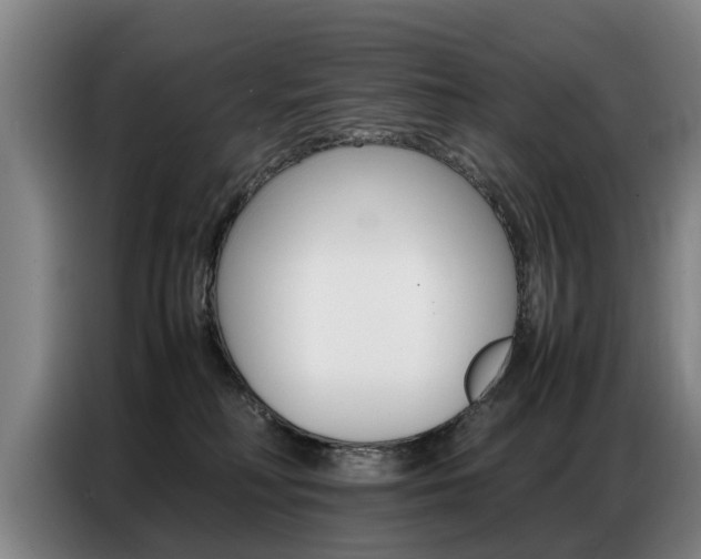 X0000087320230200704200746