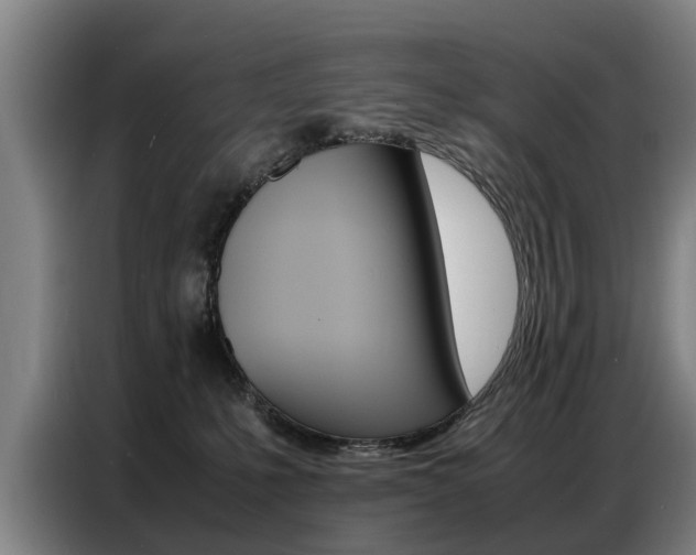 X0000087320231200704200746