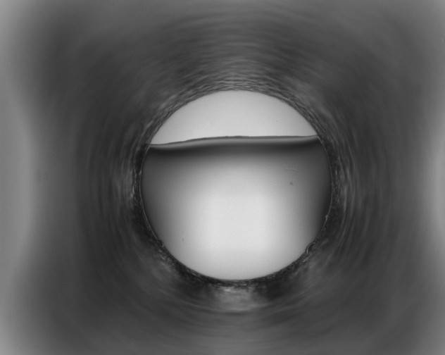 X0000087320232200704200746