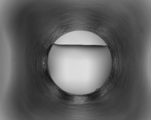 X0000087320234200704200746