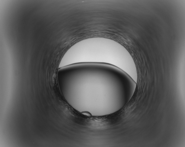 X0000087320235200704200746