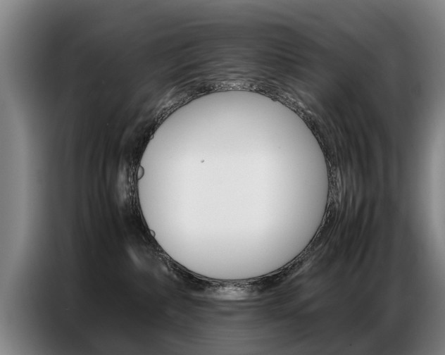 X0000087320236200704200746