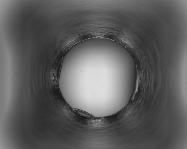 X0000087320237200704200746