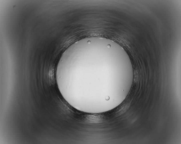 X0000087320238200704200746