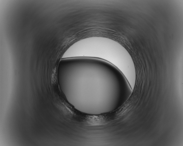 X0000087320239200704200746