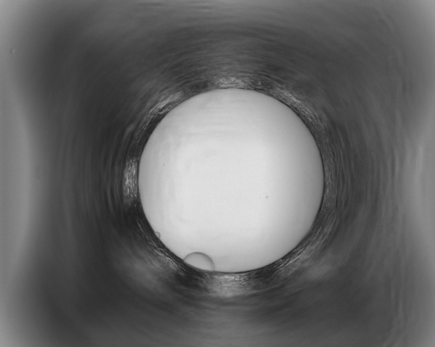 X0000087320240200704200746