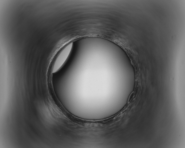X0000087320242200704200745