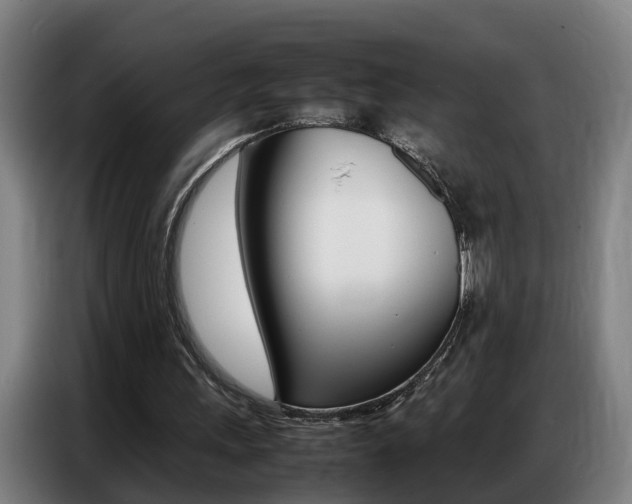 X0000087320243200704200745