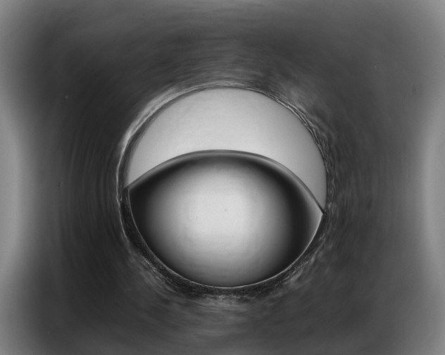 X0000087320244200704200745
