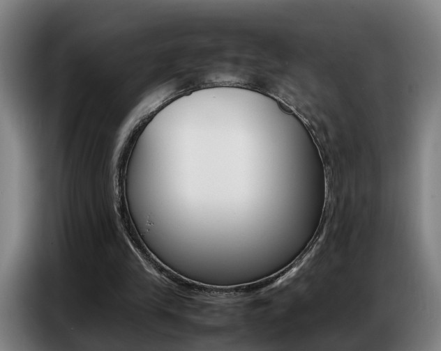 X0000087320245200704200745