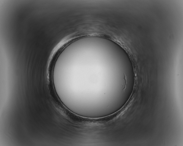 X0000087320246200704200745