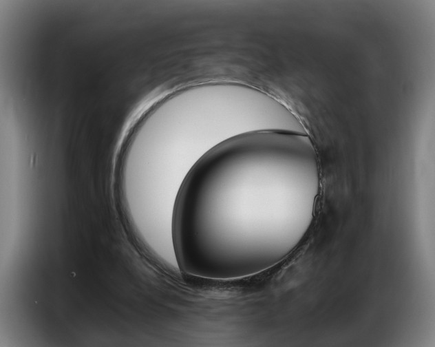 X0000087320248200704200745