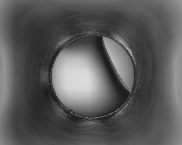 X0000087320249200704200745