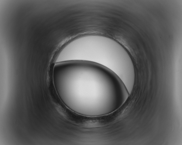 X0000087320252200704200745