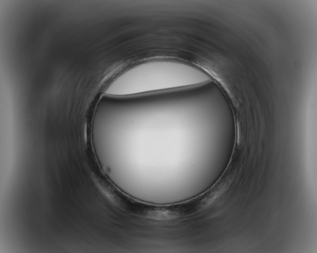 X0000087320253200704200745