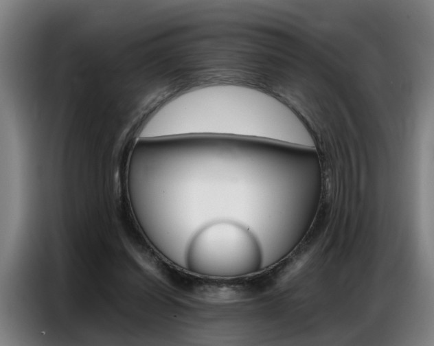 X0000087320254200704200745