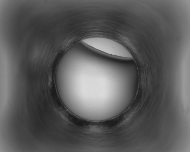 X0000087320259200704200745