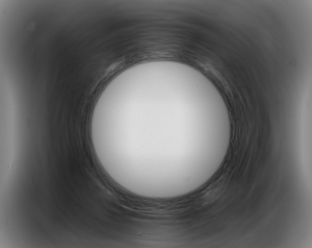 X0000087320260200704200745