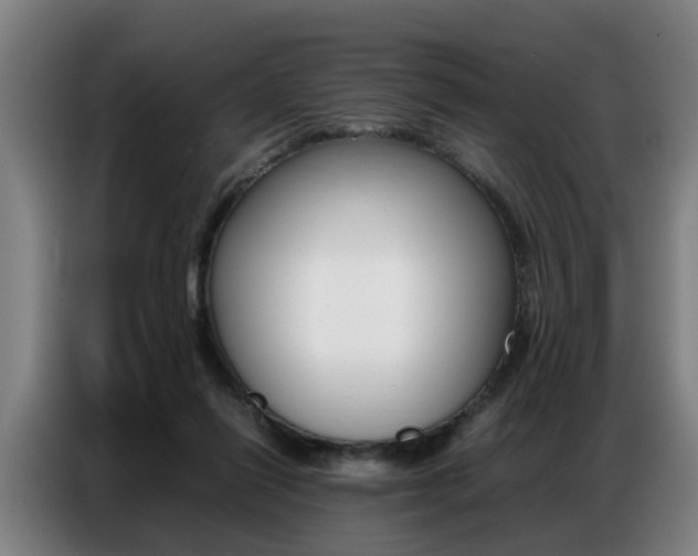 X0000087320262200704200745