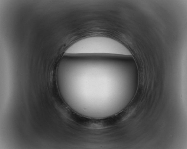 X0000087320263200704200745