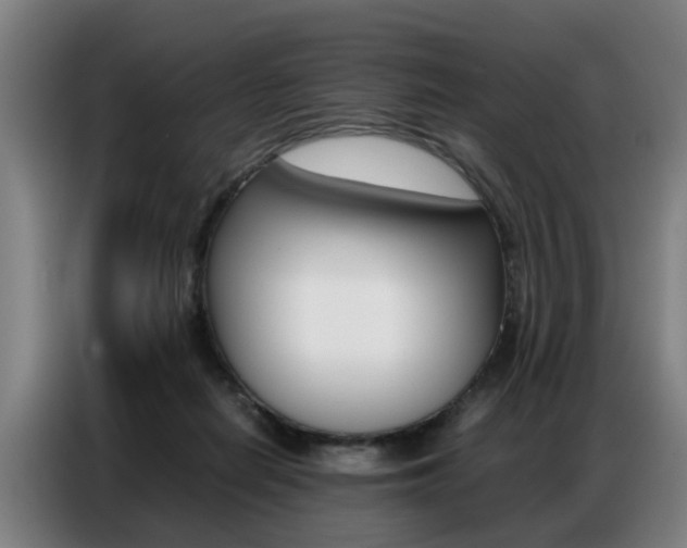 X0000087320266200704200745