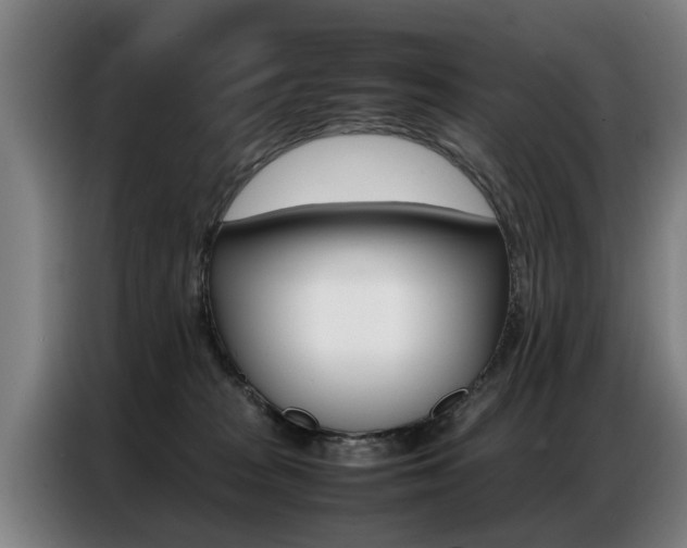 X0000087320277200704200745