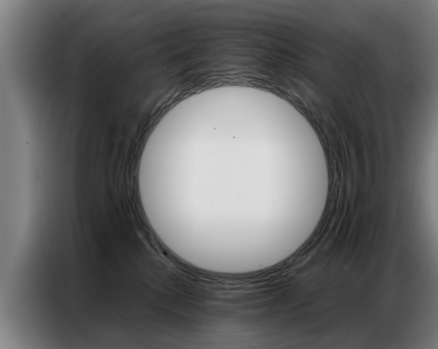 X0000087320280200704200745