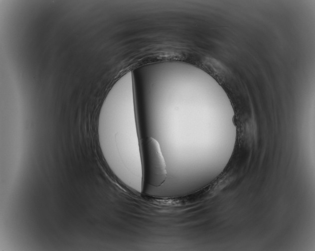 X0000087320281200704200745