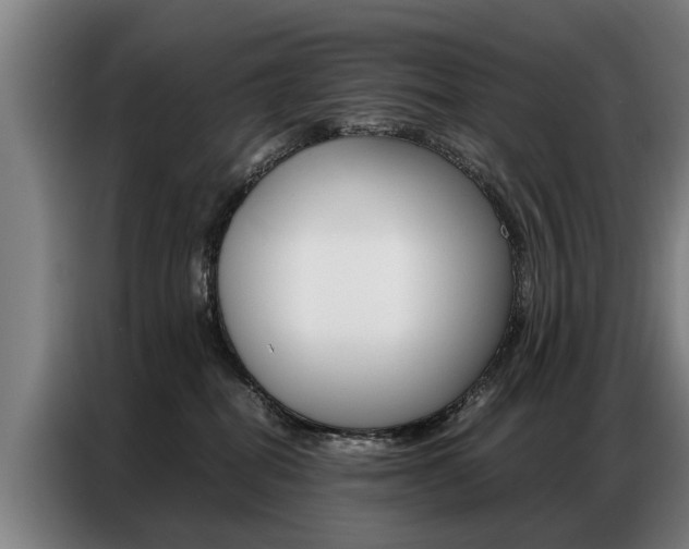 X0000087320282200704200745