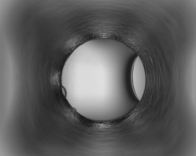 X0000087320286200704200746