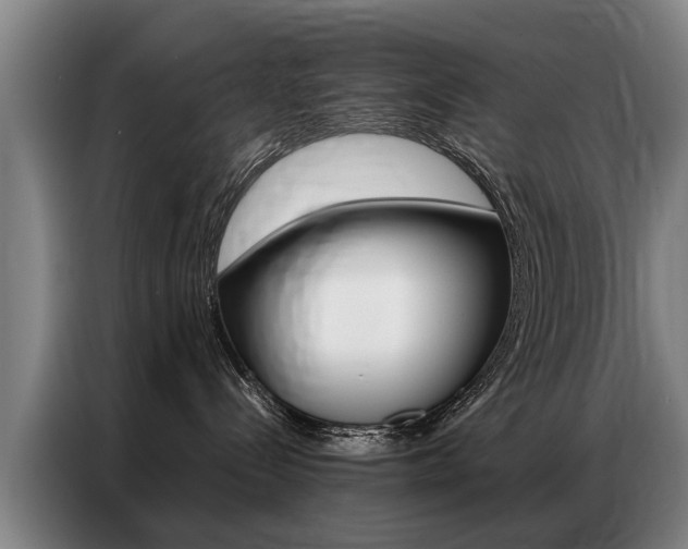 X0000087320288200704200746