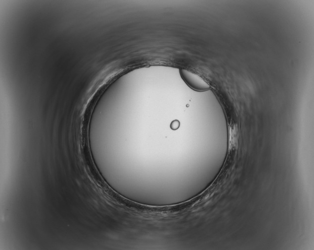 X0000087320291200704200745