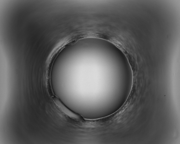 X0000087320293200704200745
