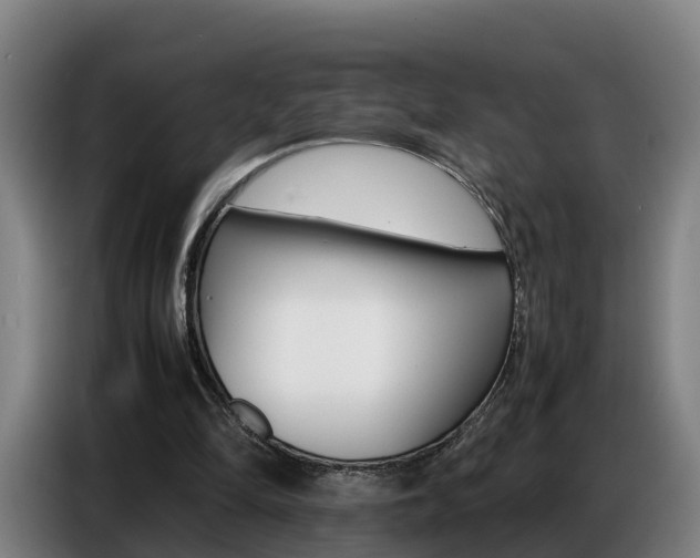 X0000087320294200704200745