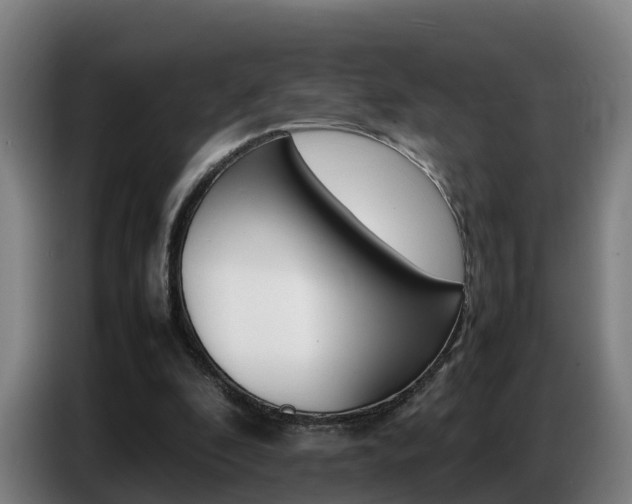 X0000087320296200704200745