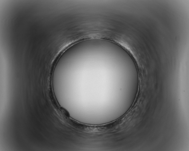 X0000087320297200704200745