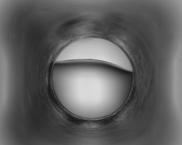 X0000087320299200704200745