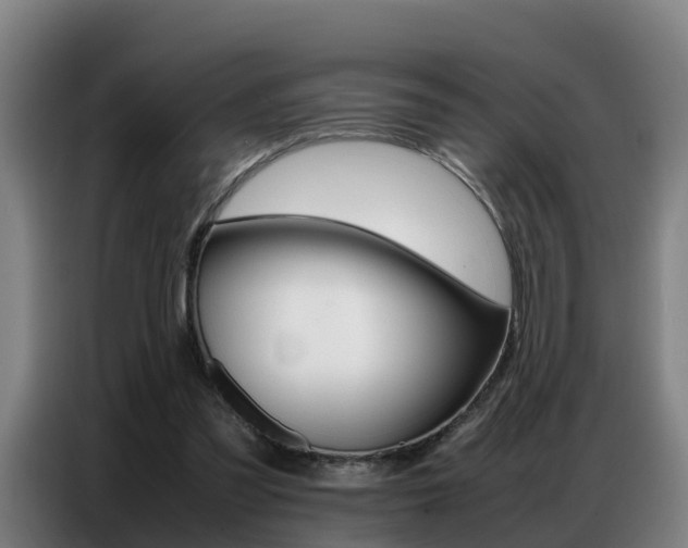 X0000087320301200704200745