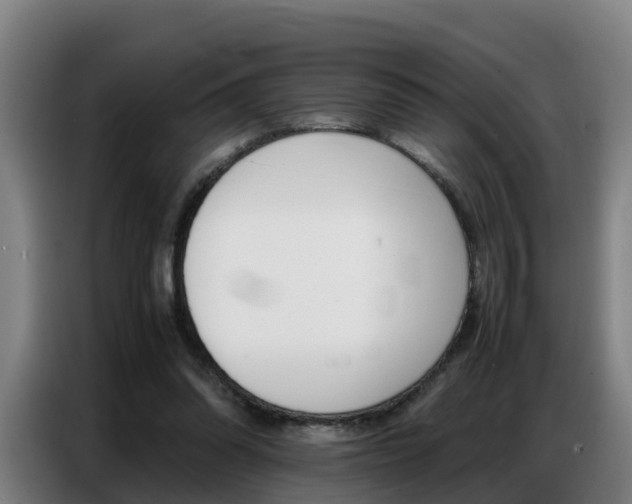 X0000087320302200704200745