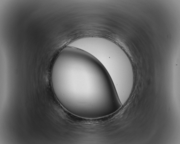 X0000087320305200704200745